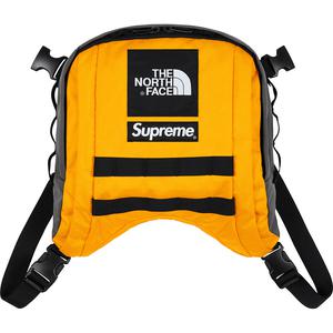 supreme north face backpack gold