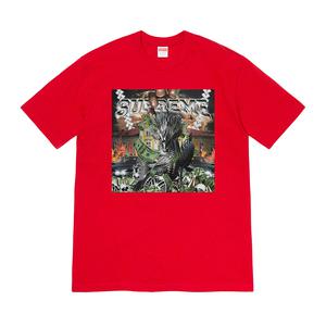 supreme dragon tee grey