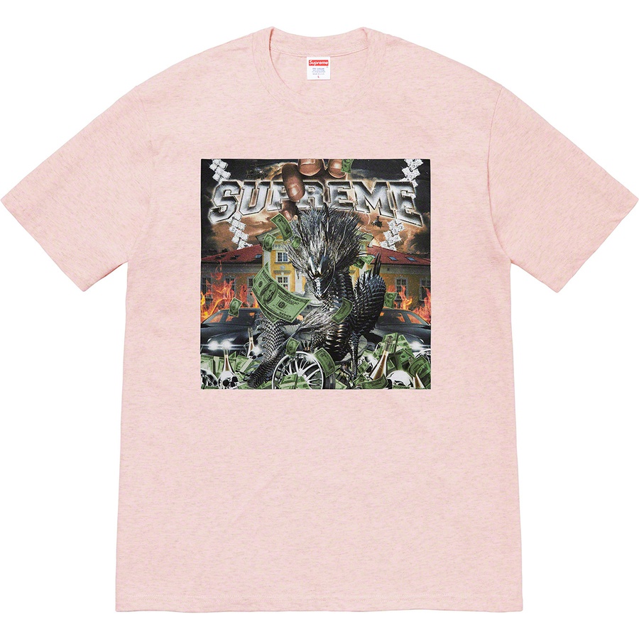 Details on Dragon Tee Heather Pink from spring summer
                                                    2020 (Price is $38)
