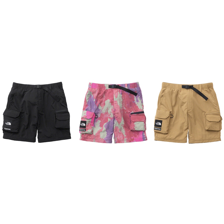 Details on Supreme The North Face Belted Cargo Pant tnfw13cargp12 from spring summer
                                                    2020 (Price is $198)