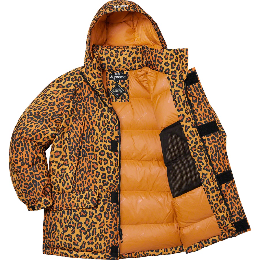 Details on GORE-TEX 700-Fill Down Parka Leopard from fall winter
                                                    2020 (Price is $548)