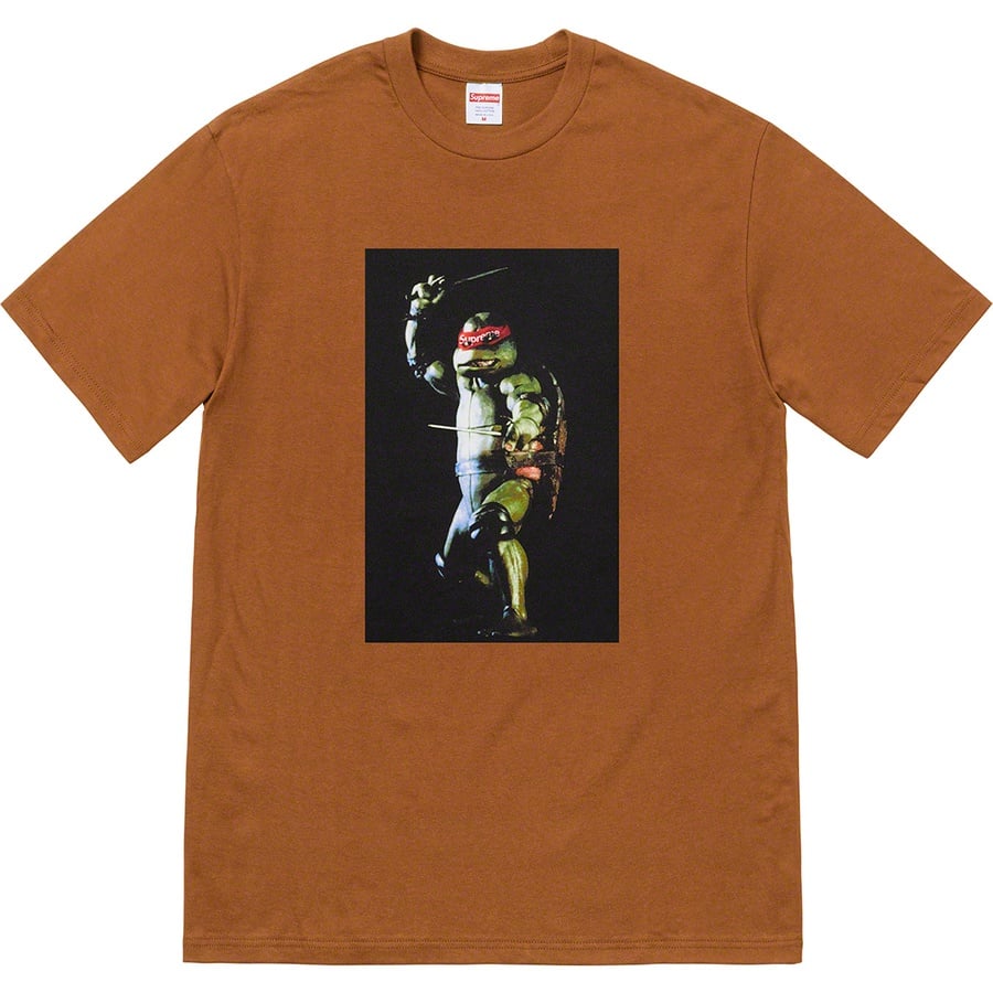 Details on Raphael Tee Brown from spring summer
                                                    2021 (Price is $44)