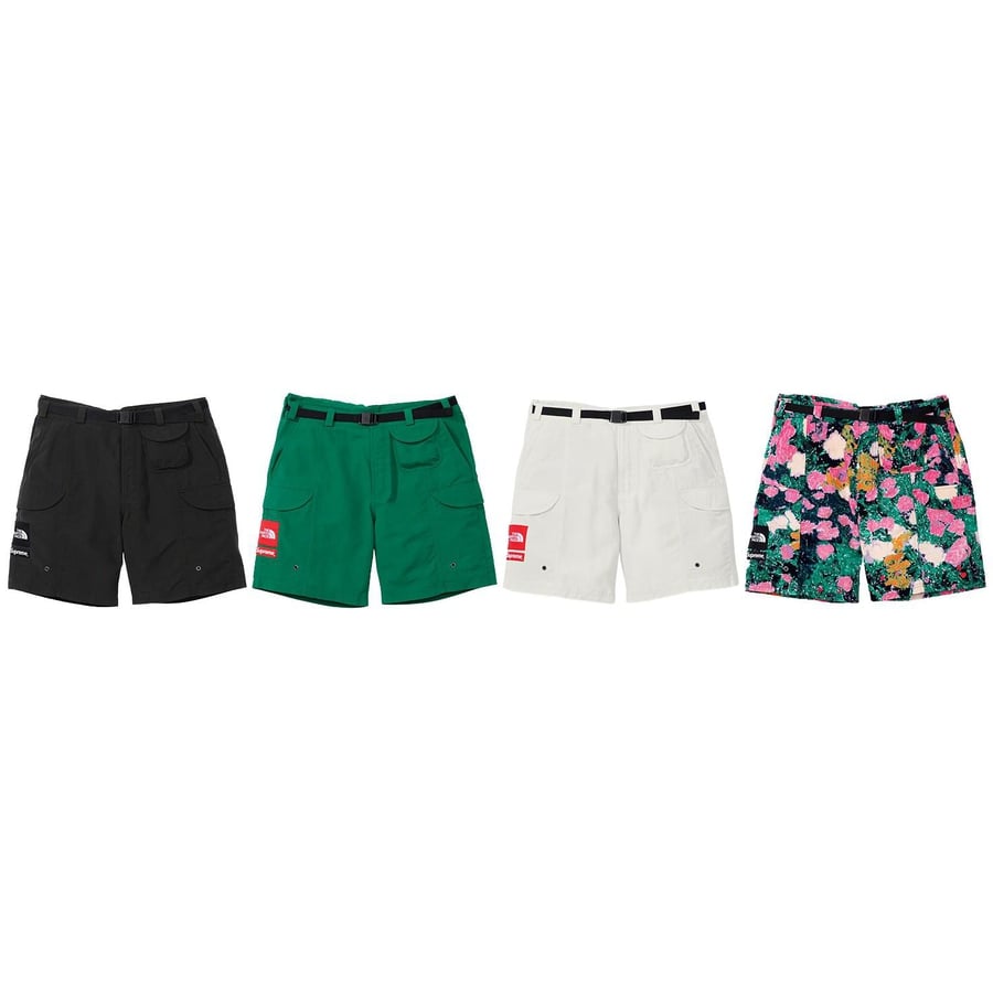 Supreme x The North Face Trekking Packable Belted Flowers Shorts – WyCo  Vintage Broadway