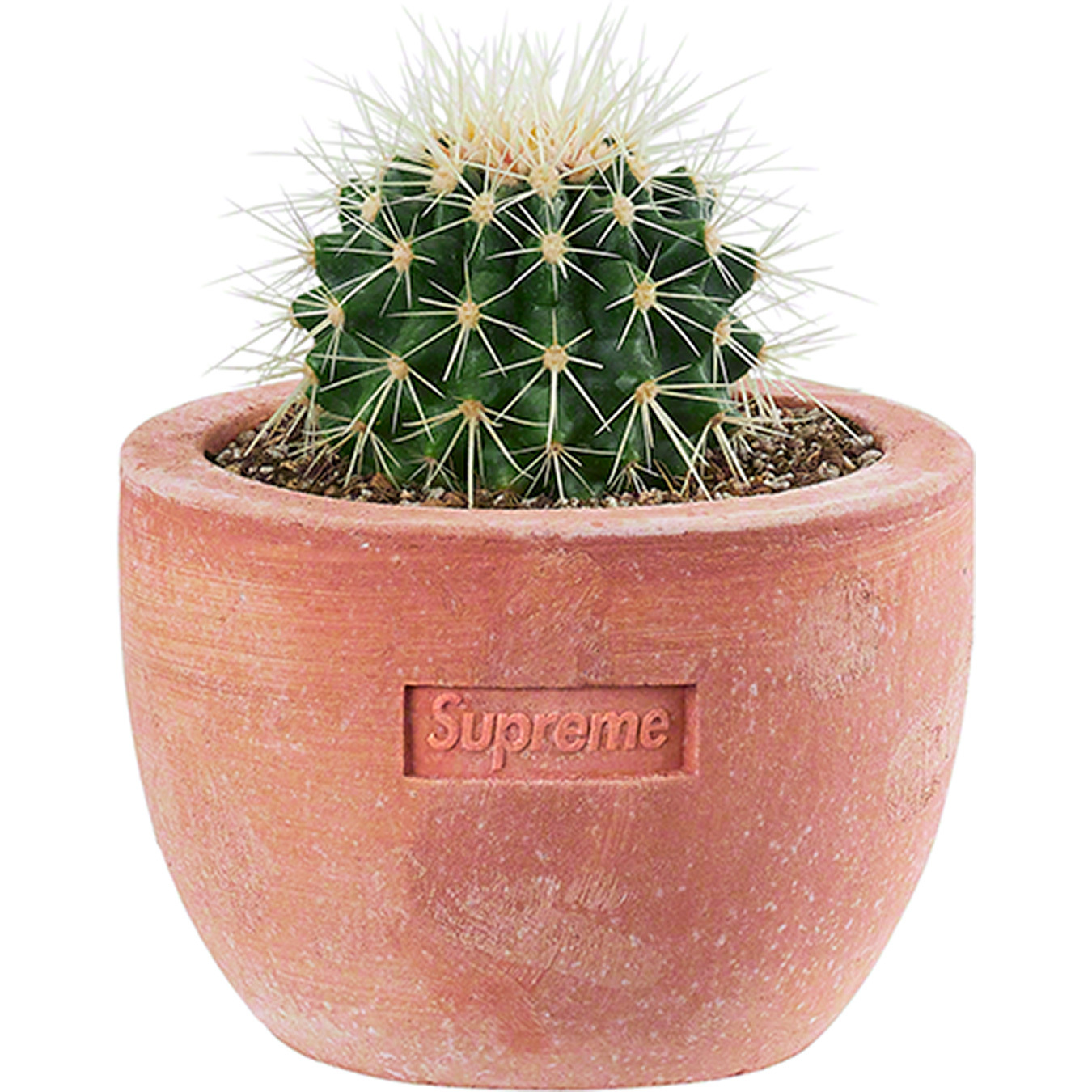 Supreme / Poggi Ugo Small Planter