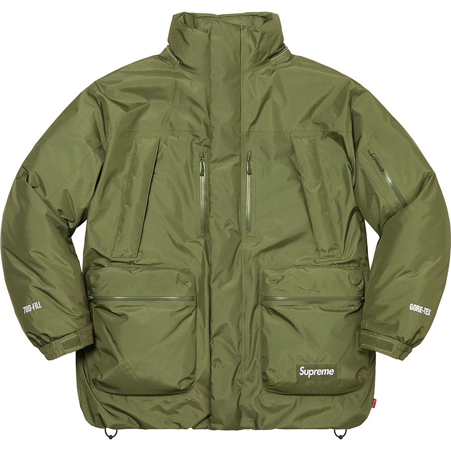 Details on GORE-TEX 700-Fill Down Parka Olive from fall winter
                                                    2022 (Price is $568)