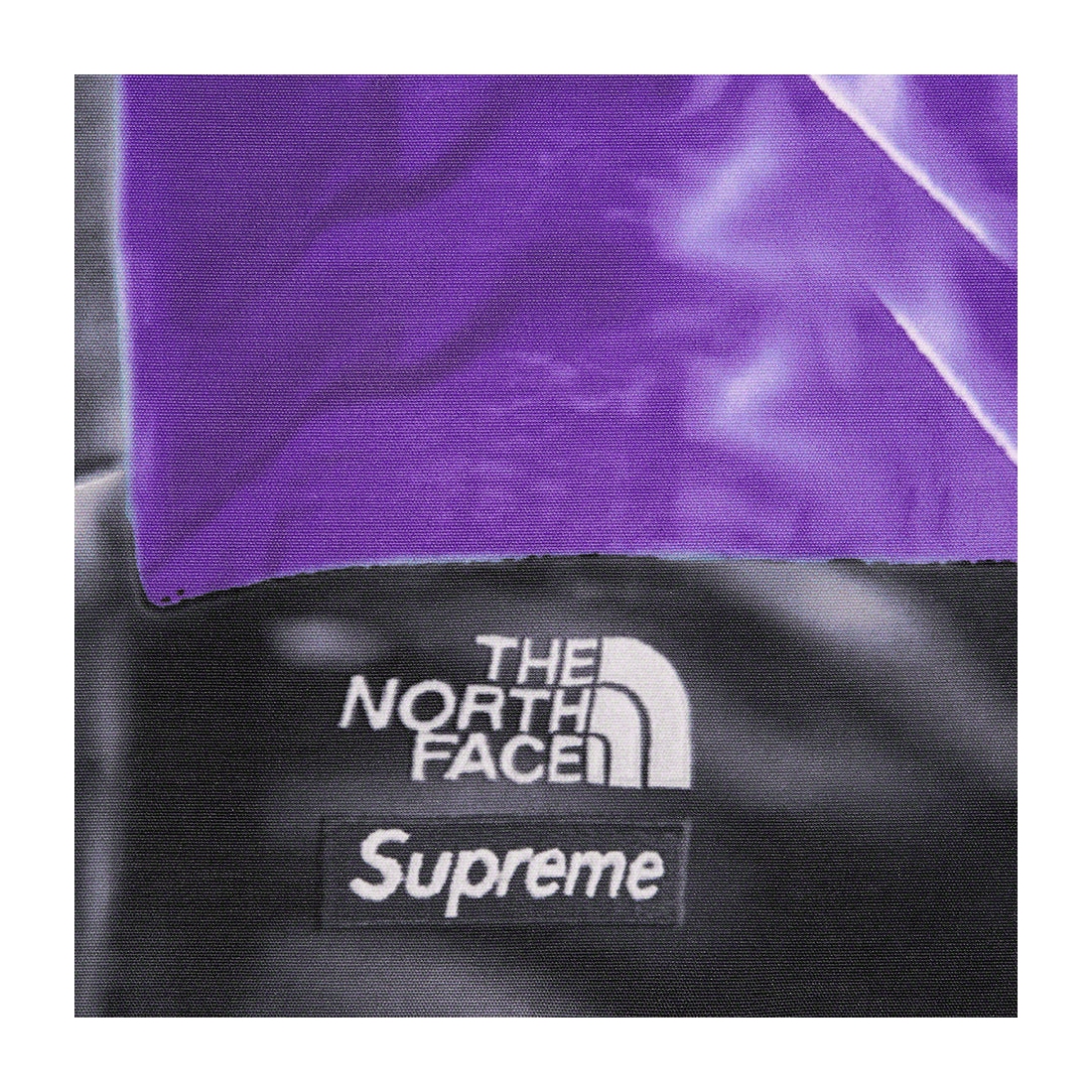 Details on Supreme The North Face Trompe L’oeil Printed Mountain Pant Purple from spring summer
                                                    2023 (Price is $298)