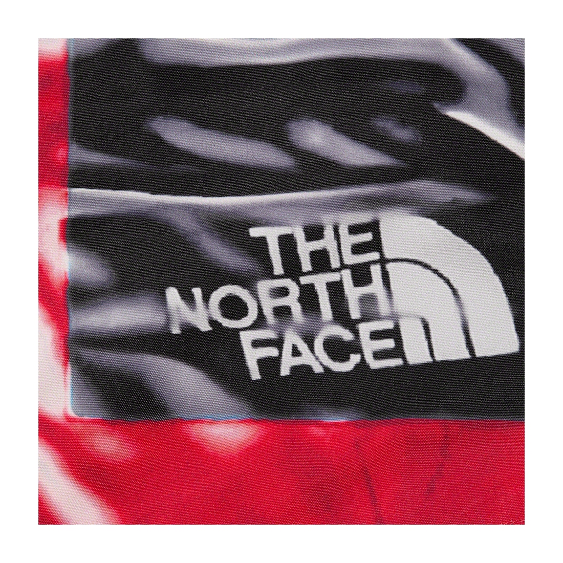 Details on Supreme The North Face Trompe L’oeil Printed Taped Seam Shell Jacket Red from spring summer
                                                    2023 (Price is $398)