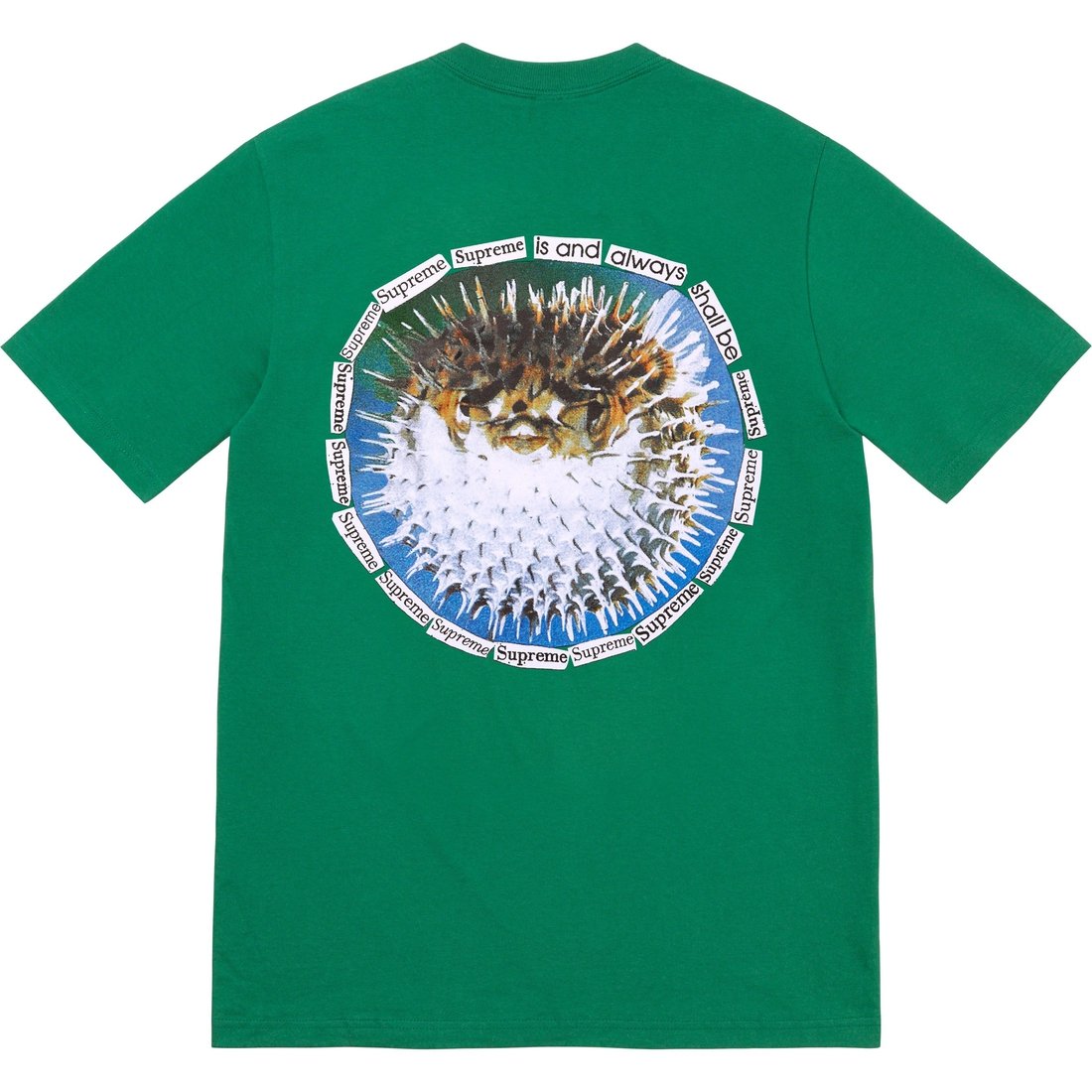 Details on Blowfish Tee Light Pine from spring summer
                                                    2023 (Price is $40)