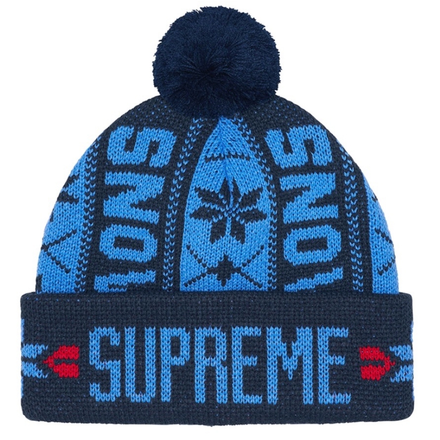 Details on Snow Beanie from fall winter
                                            2023 (Price is $40)