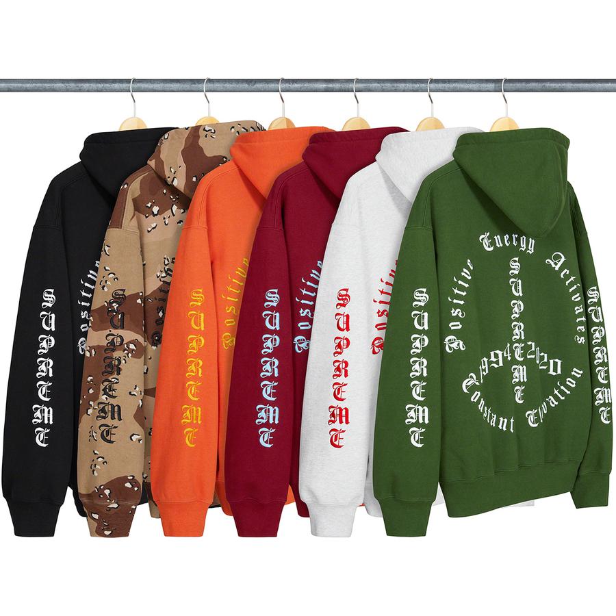 Details on Peace Hooded Sweatshirt from fall winter
                                            2020 (Price is $168)
