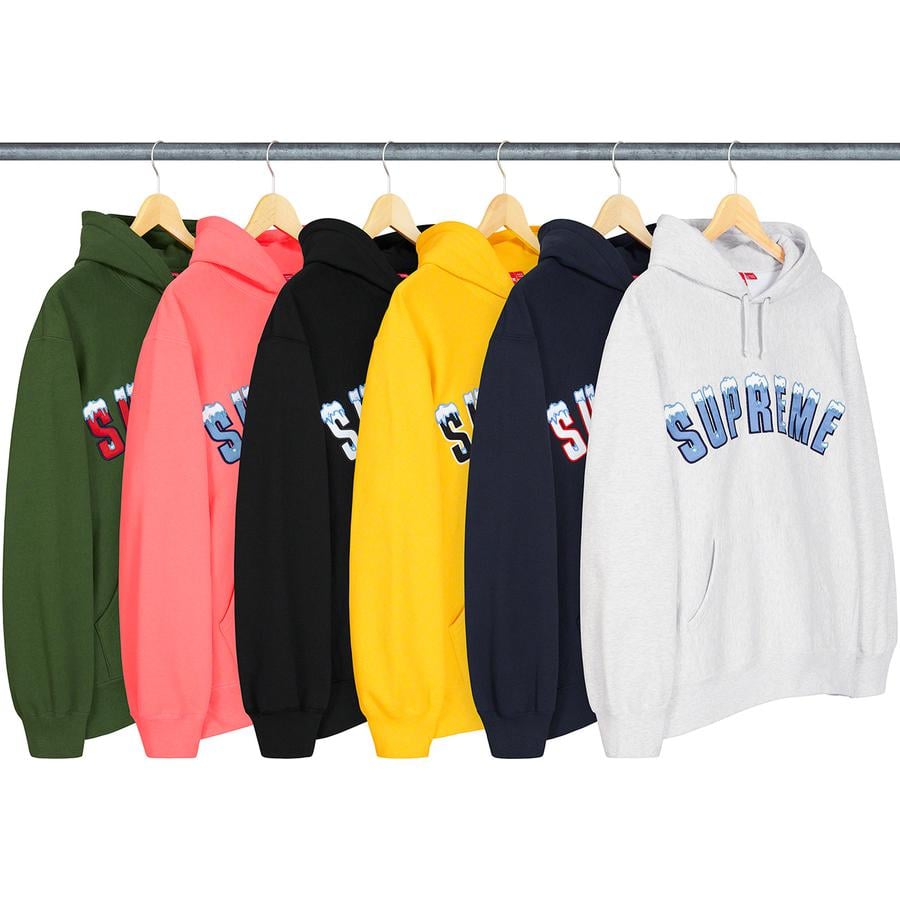 Details on Icy Arc Hooded Sweatshirt from fall winter
                                            2020 (Price is $168)