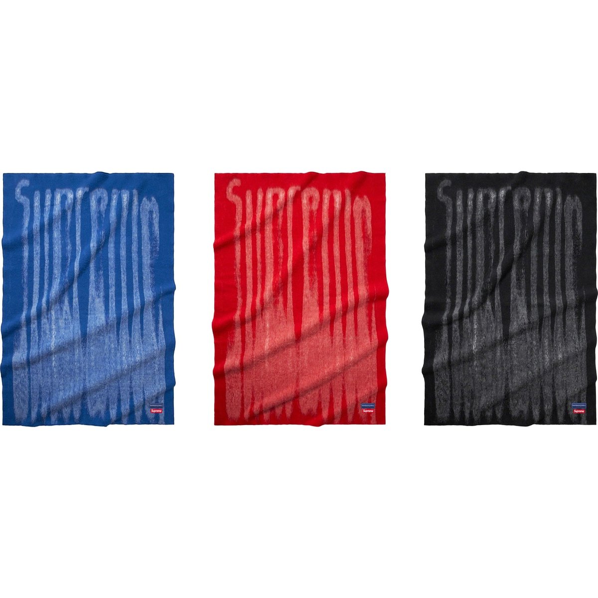 Details on Blurred Logo Blanket from fall winter
                                            2023 (Price is $368)