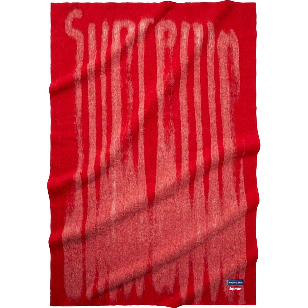 Details on Blurred Logo Blanket  from fall winter
                                                    2023 (Price is $368)