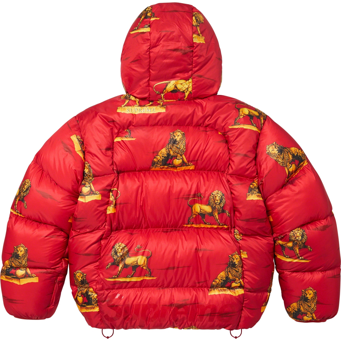 Details on Featherweight Down Puffer Jacket Lions from fall winter
                                                    2023 (Price is $368)