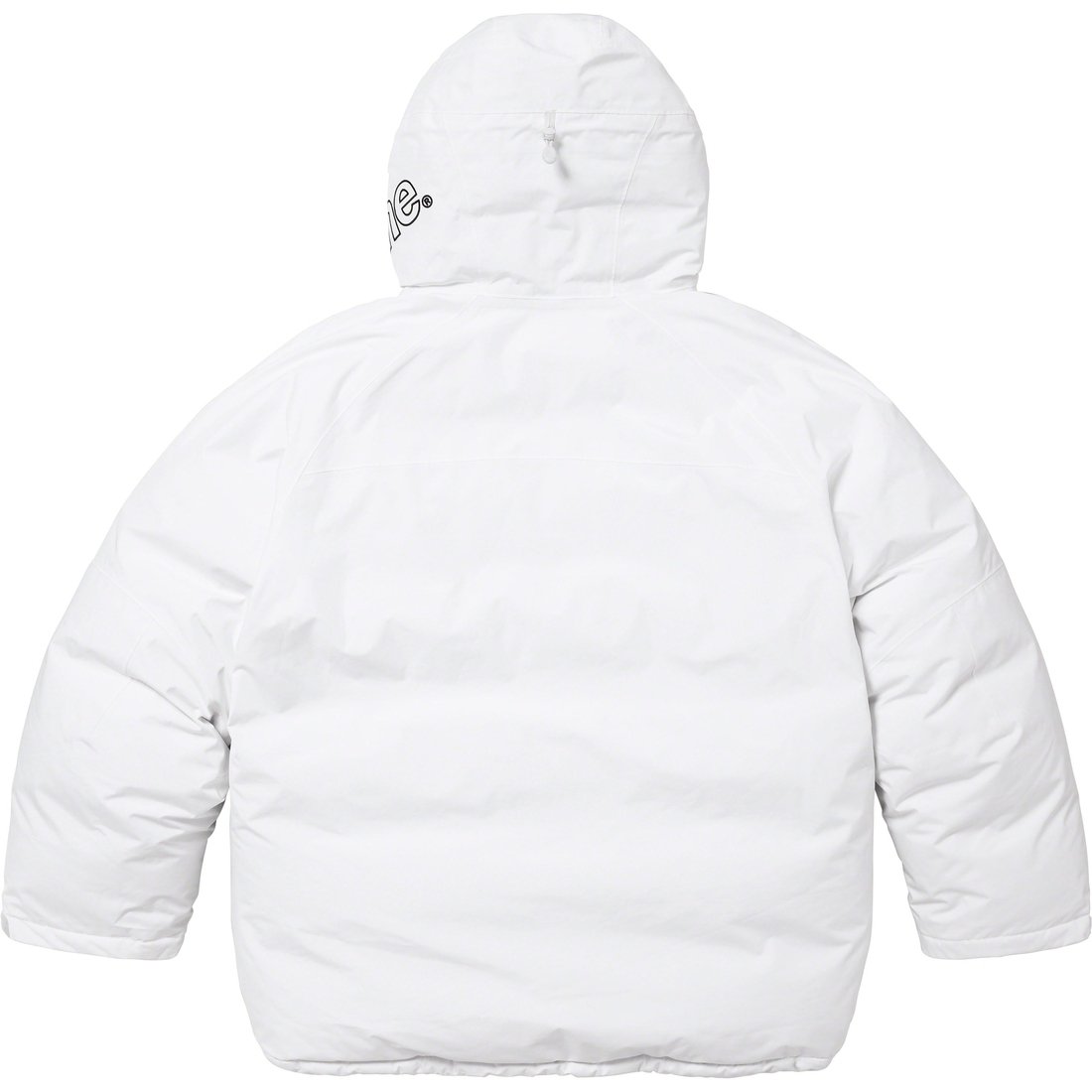 Details on GORE-TEX 700-Fill Down Parka White from fall winter
                                                    2023 (Price is $598)