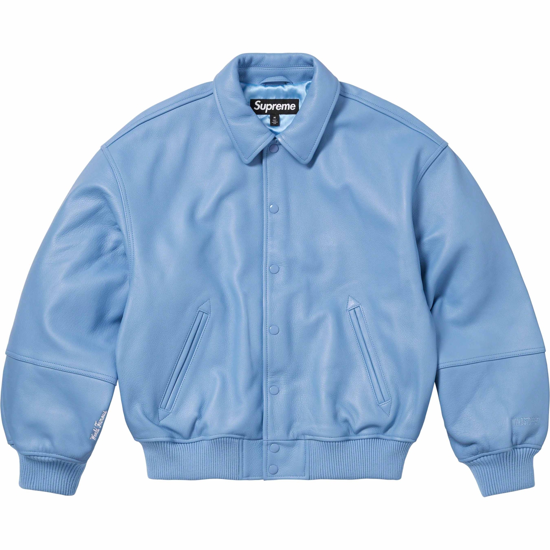 Details on GORE-TEX Infinium WINDSTOPPER Leather Varsity Jacket Light Blue from fall winter
                                                    2023 (Price is $998)