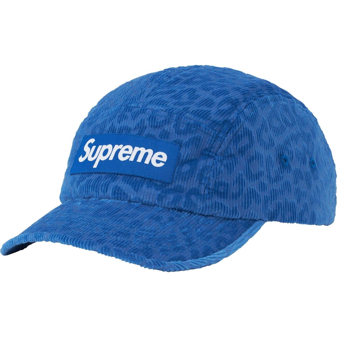Details on Leopard Corduroy Camp Cap Blue from fall winter
                                                    2023 (Price is $54)