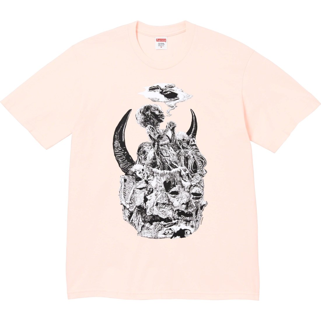 Details on Mutants Tee Pale Pink from fall winter
                                                    2023 (Price is $40)