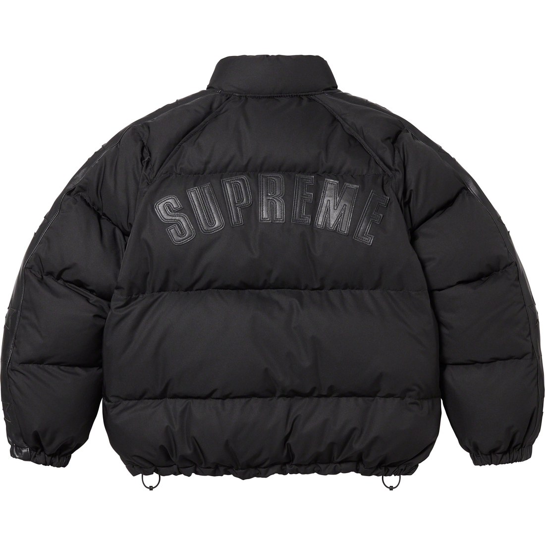 Details on Star Sleeve Down Puffer Jacket Black from fall winter
                                                    2023 (Price is $448)