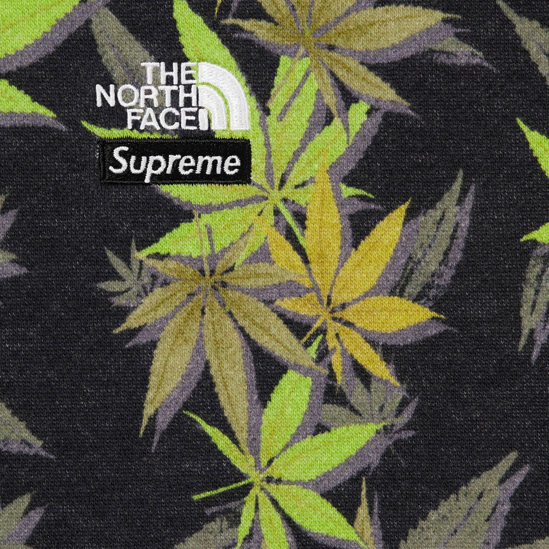 Details on Supreme The North Face Leaf Hooded Sweatshirt Black from fall winter
                                                    2023 (Price is $158)
