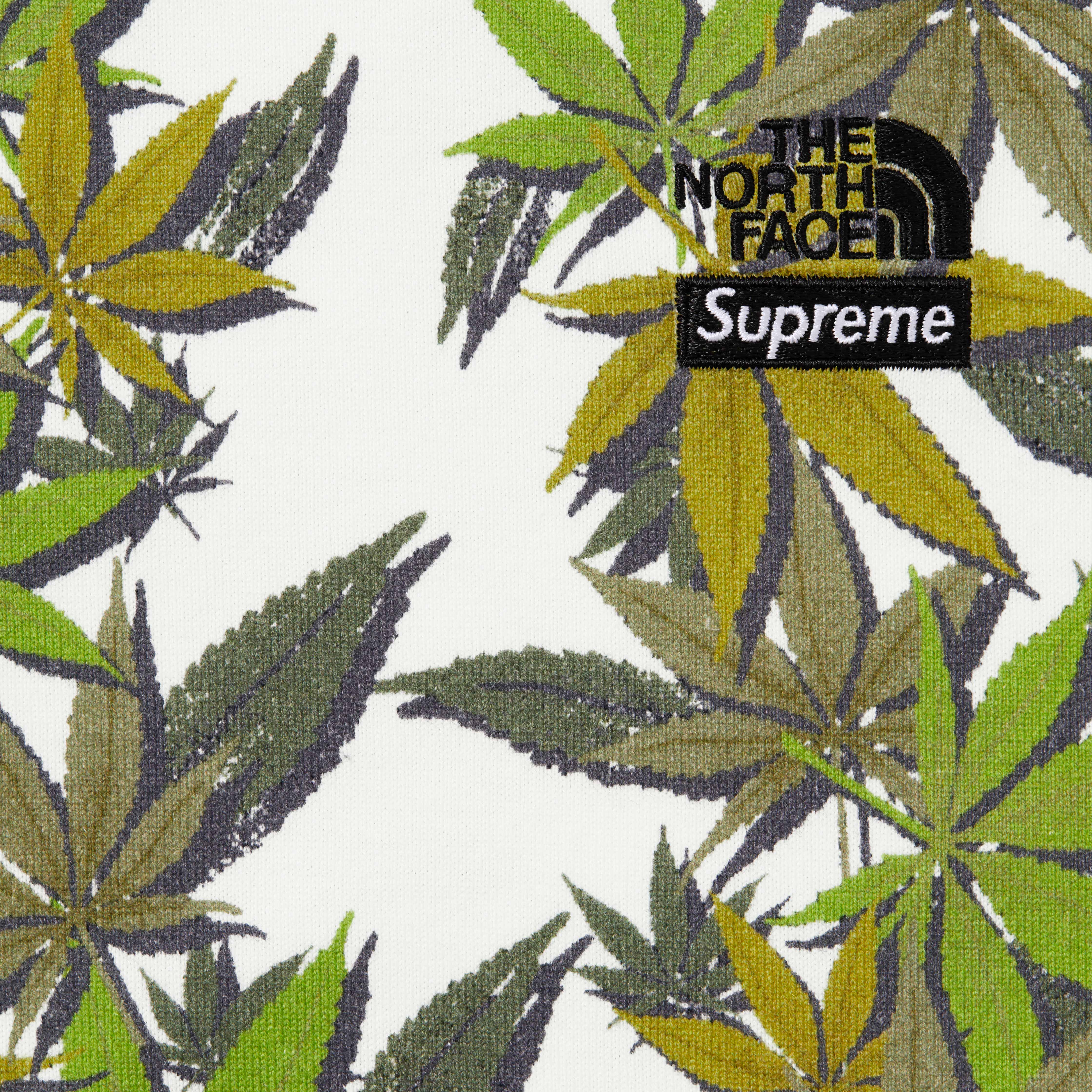 Supreme x The North Face Blaze it for Fall 2023