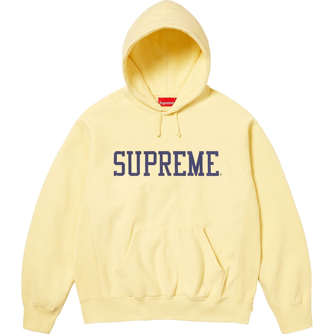 Details on Varsity Hooded Sweatshirt Light Yellow from fall winter
                                                    2023 (Price is $158)