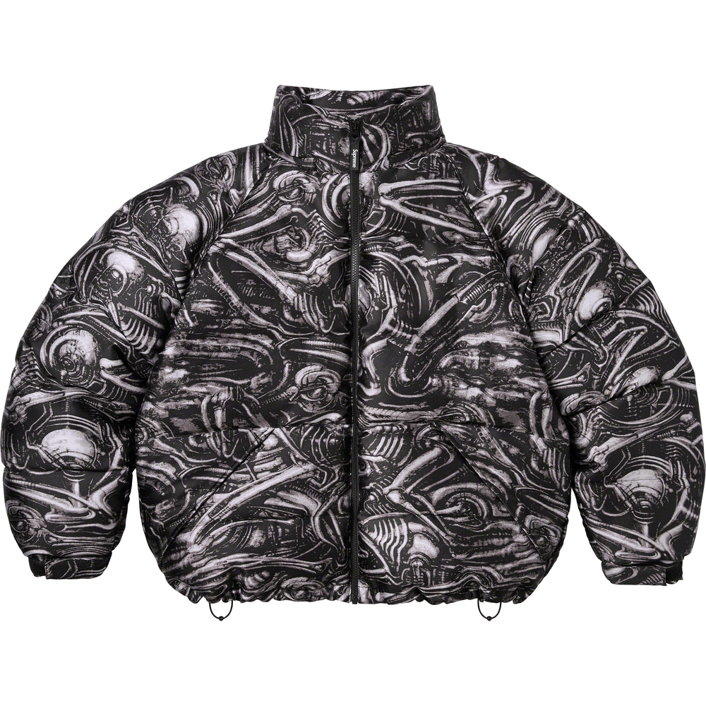 Details on H.R. Giger Jacquard Down Puffer Jacket  from fall winter
                                                    2023 (Price is $498)