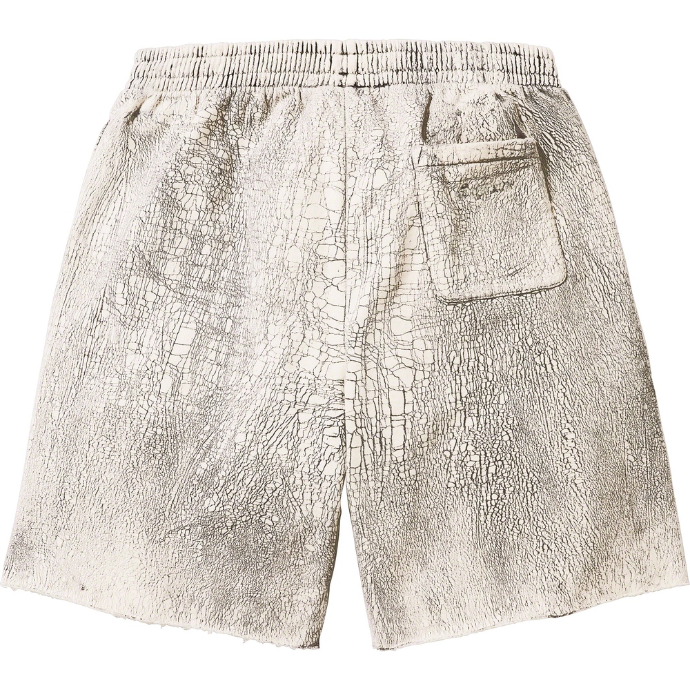 Details on Crackle Sweatshort  from fall winter
                                                    2023 (Price is $188)