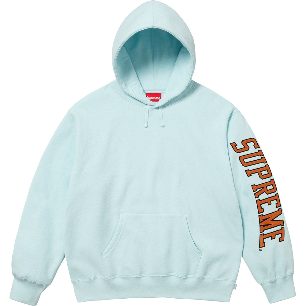 Details on Sleeve Arc Hooded Sweatshirt  from fall winter
                                                    2023 (Price is $158)