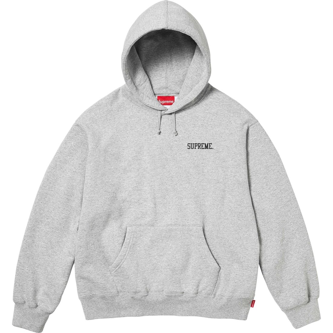 Details on Anarchy Hooded Sweatshirt Heather Grey from fall winter
                                                    2024 (Price is $158)