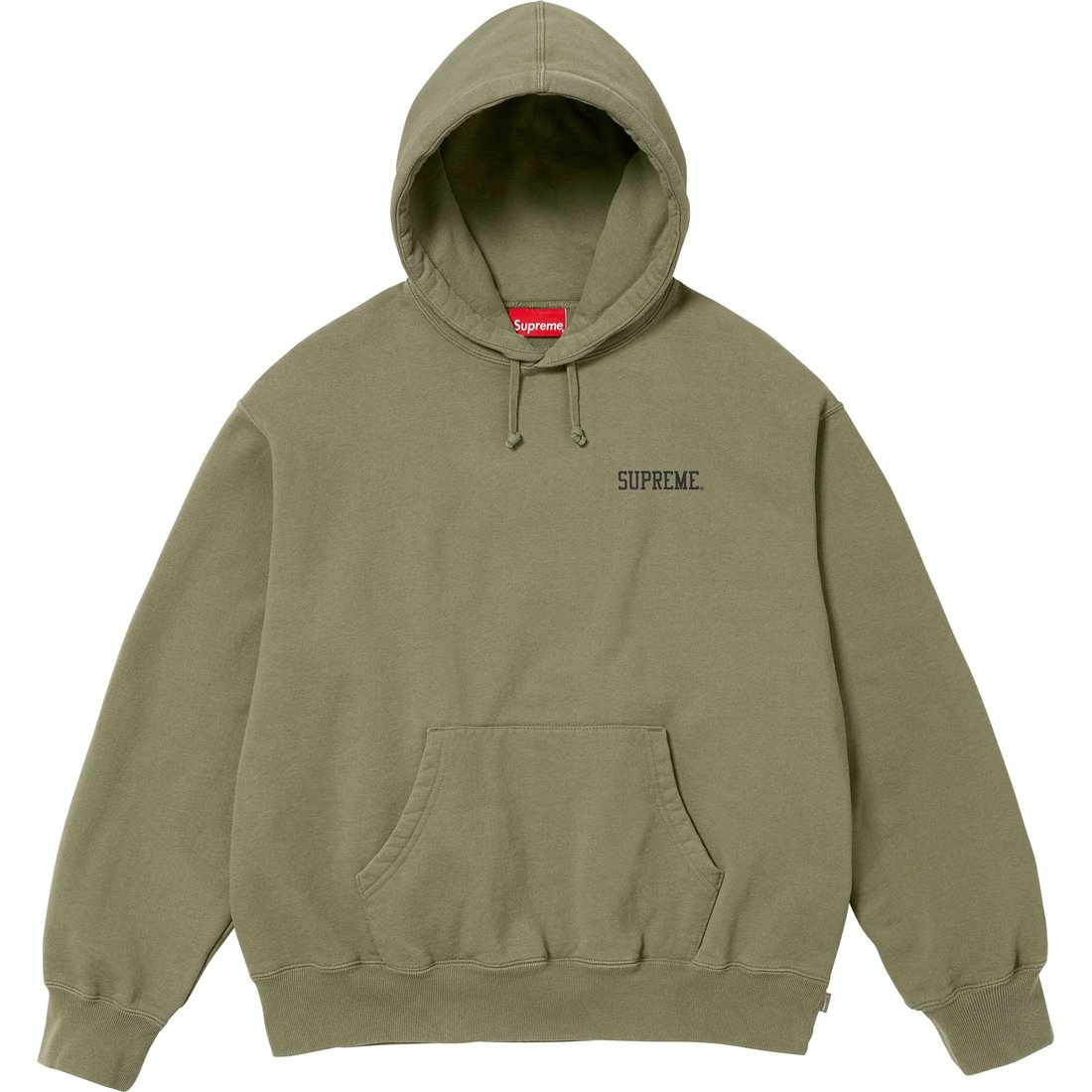 Details on Anarchy Hooded Sweatshirt Light Olive from fall winter
                                                    2024 (Price is $158)