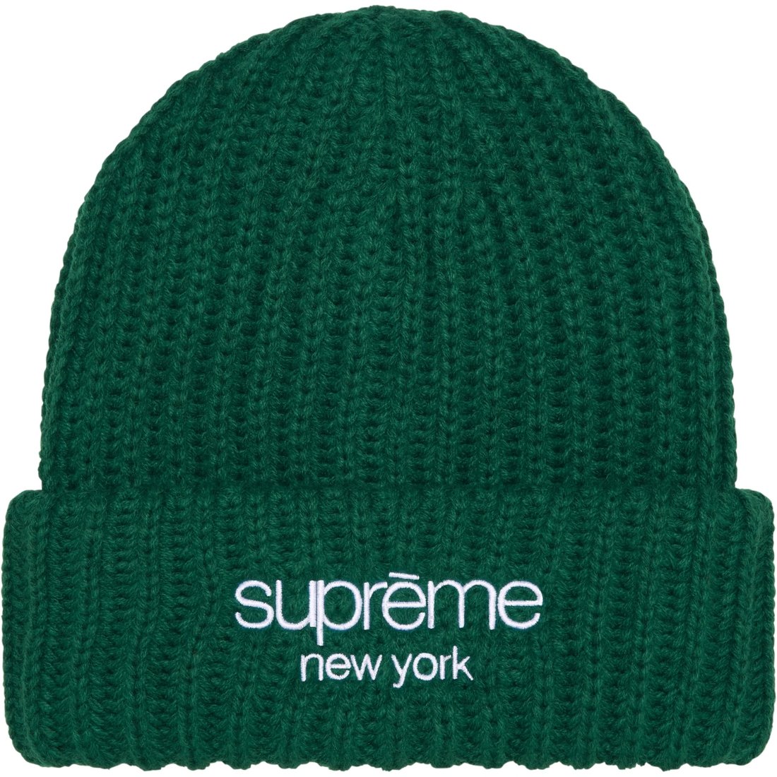 Details on Classic Logo Chunky Ribbed Beanie Dark Green from fall winter
                                                    2024 (Price is $40)