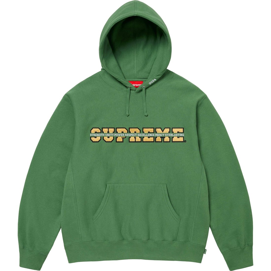 Details on Collegiate Acronym Hooded Sweatshirt Dusty Green from fall winter
                                                    2024 (Price is $158)