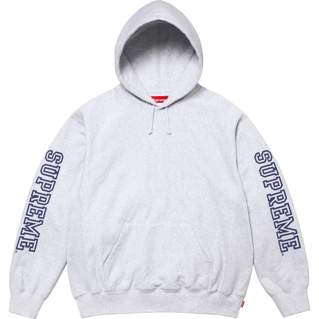 Details on Collegiate Sleeve Hooded Sweatshirt Ash Grey from fall winter
                                                    2024 (Price is $158)