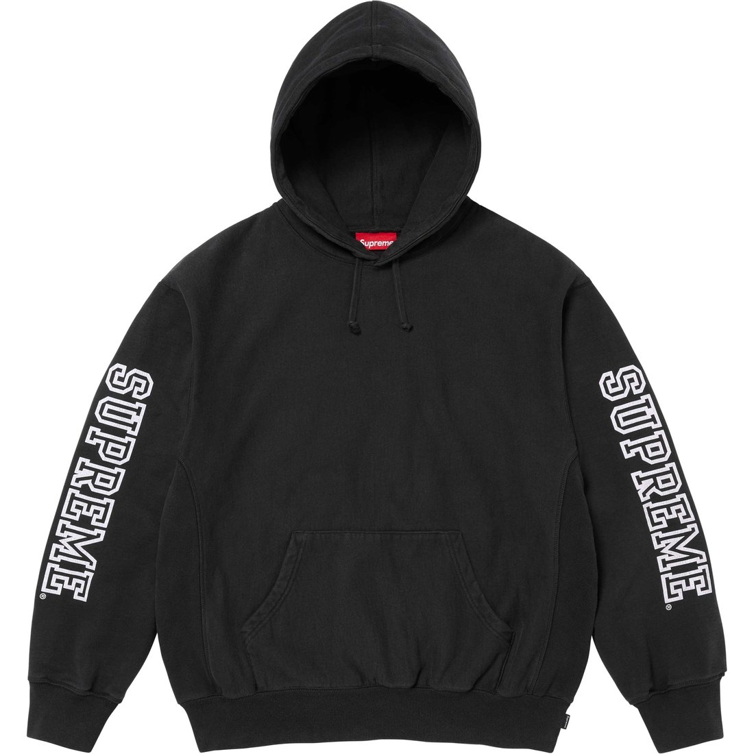 Details on Collegiate Sleeve Hooded Sweatshirt Black from fall winter
                                                    2024 (Price is $158)