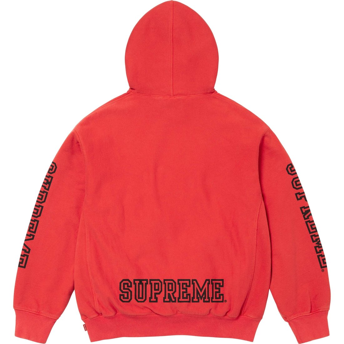 Details on Collegiate Sleeve Hooded Sweatshirt Burnt Red from fall winter
                                                    2024 (Price is $158)