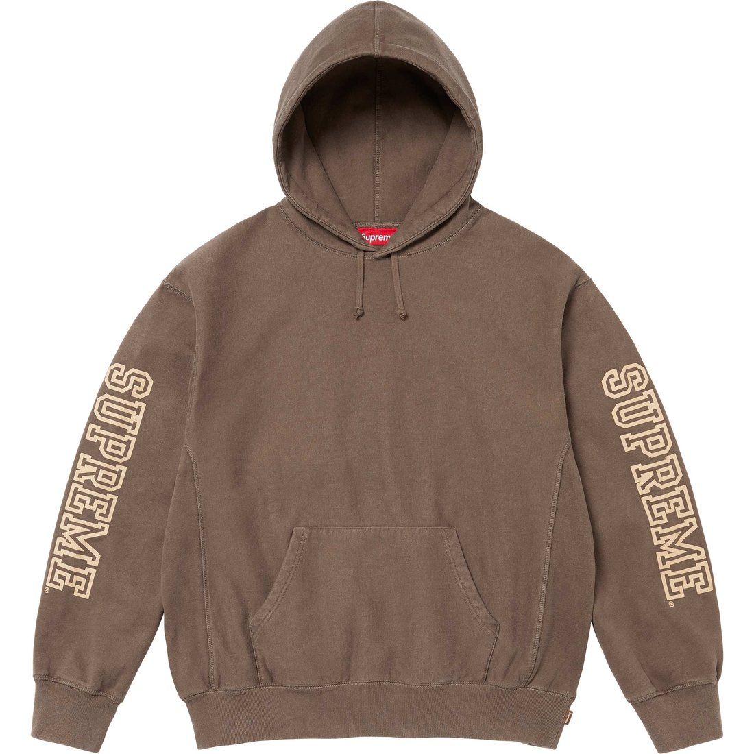 Details on Collegiate Sleeve Hooded Sweatshirt Olive Brown from fall winter
                                                    2024 (Price is $158)