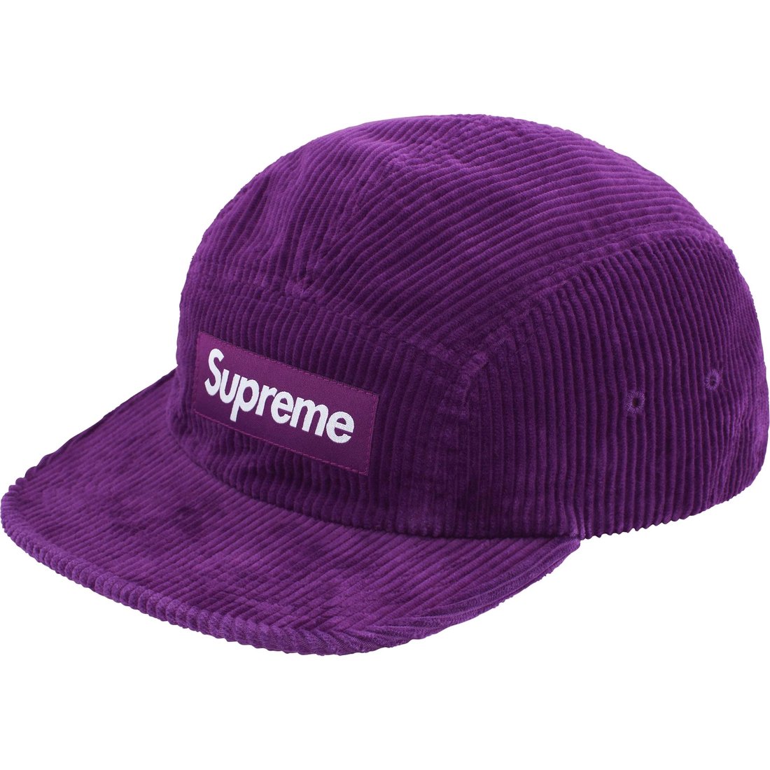 Details on Corduroy Camp Cap Purple from fall winter
                                                    2024 (Price is $58)