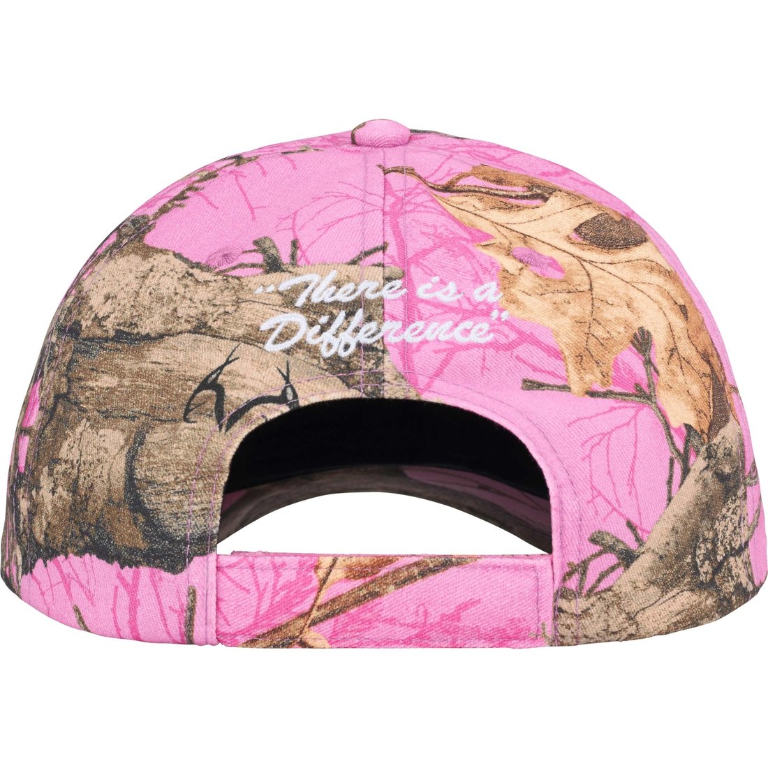 Details on Difference 6-Panel Pink from fall winter
                                                    2024 (Price is $48)