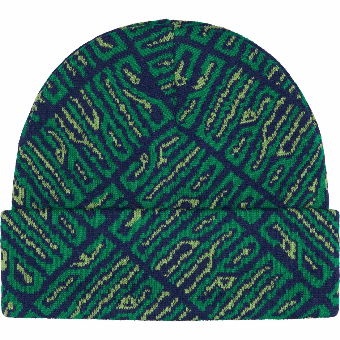 Details on Funk Spellout Beanie Green from fall winter
                                                    2024 (Price is $40)