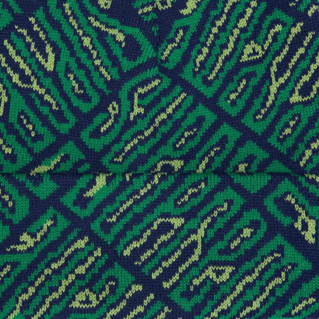 Details on Funk Spellout Beanie Green from fall winter
                                                    2024 (Price is $40)