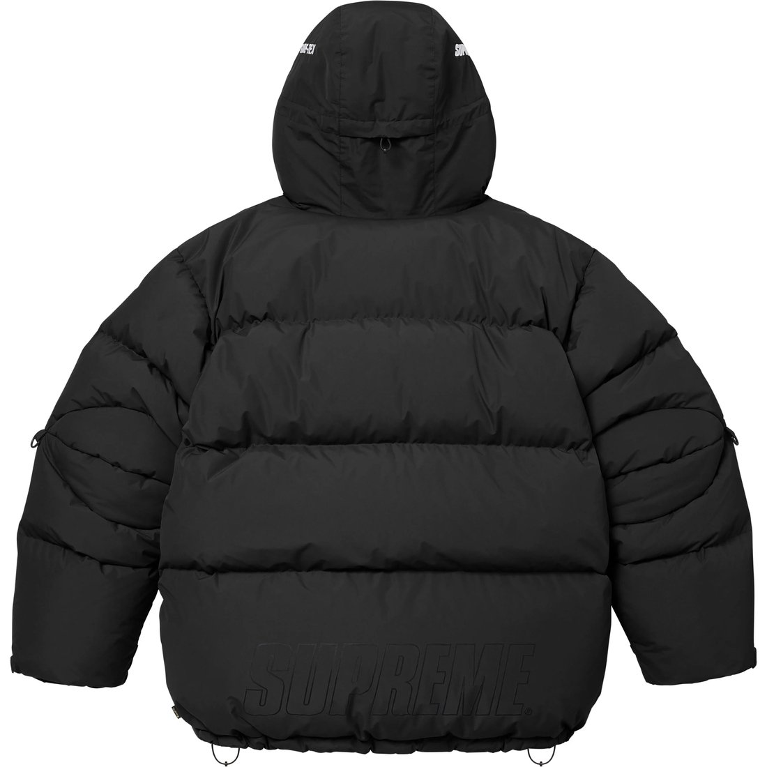 Details on GORE-TEX 900-Fill Down Parka Black from fall winter
                                                    2024 (Price is $698)