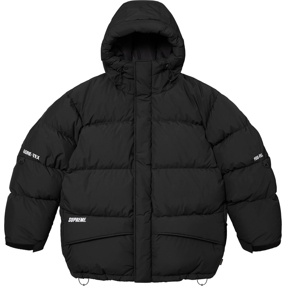 Details on GORE-TEX 900-Fill Down Parka Black from fall winter
                                                    2024 (Price is $698)