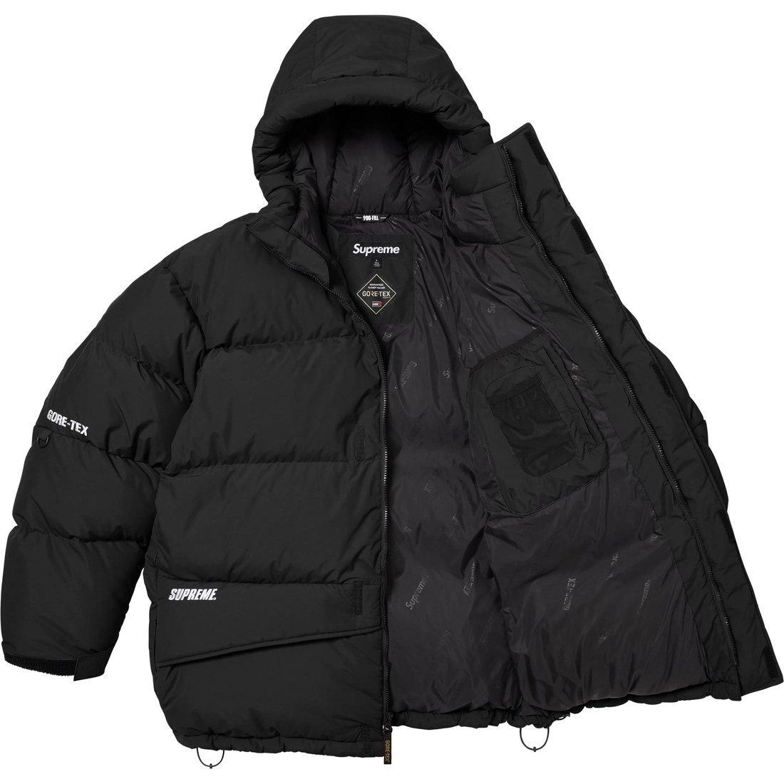 Details on GORE-TEX 900-Fill Down Parka Black from fall winter
                                                    2024 (Price is $698)