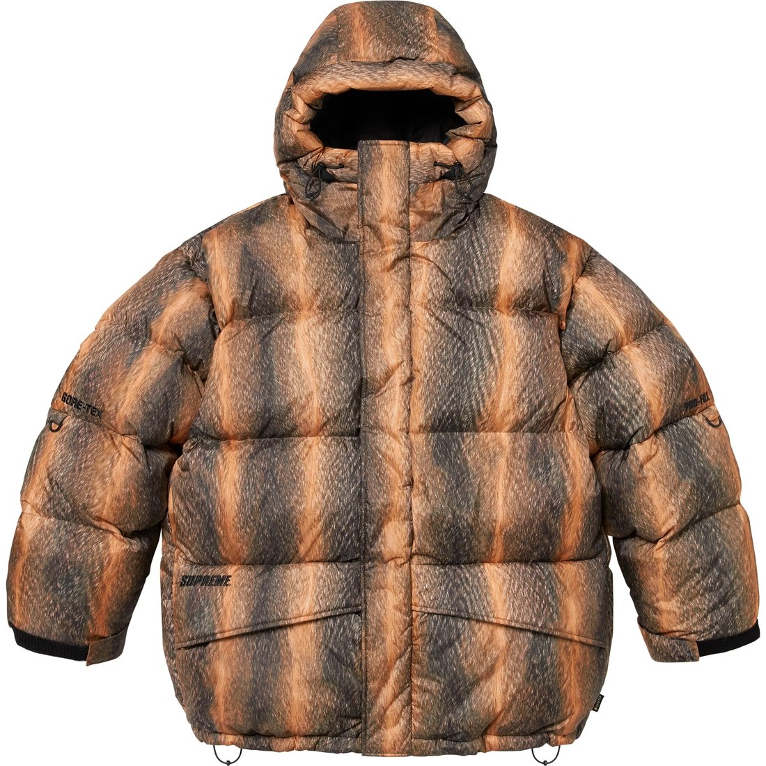 Details on GORE-TEX 900-Fill Down Parka Fur Print from fall winter
                                                    2024 (Price is $698)