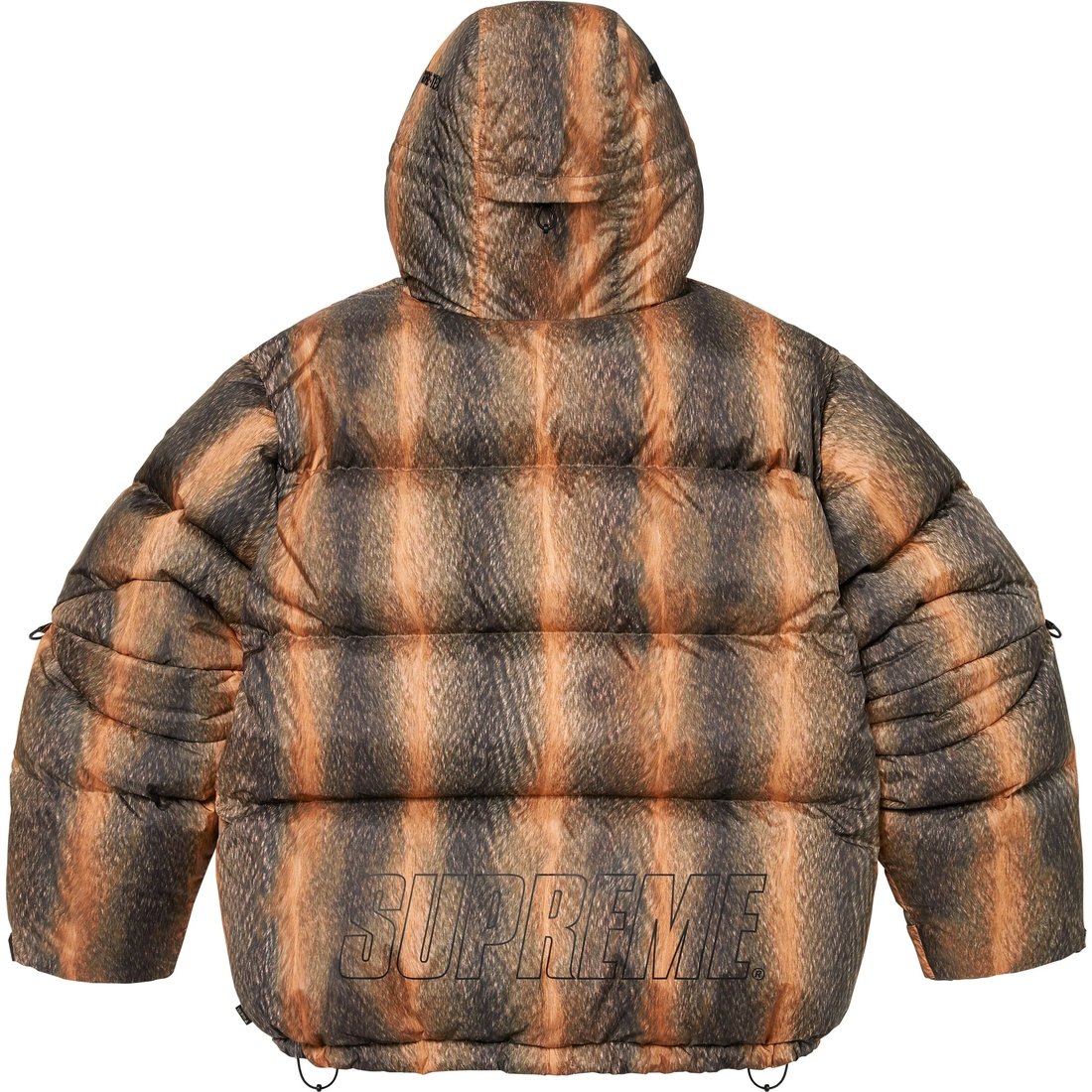 Details on GORE-TEX 900-Fill Down Parka Fur Print from fall winter
                                                    2024 (Price is $698)