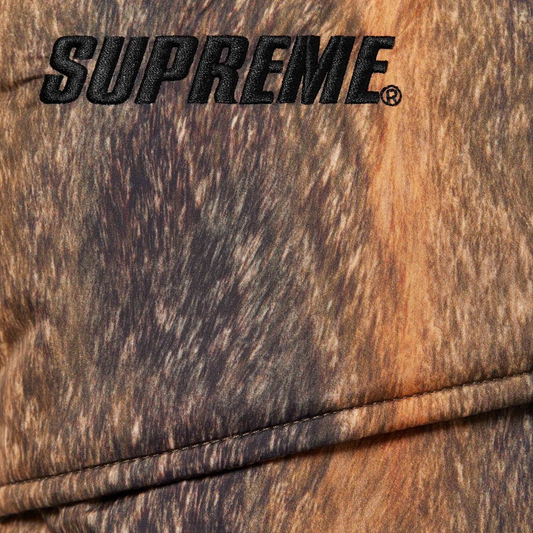 Details on GORE-TEX 900-Fill Down Parka Fur Print from fall winter
                                                    2024 (Price is $698)