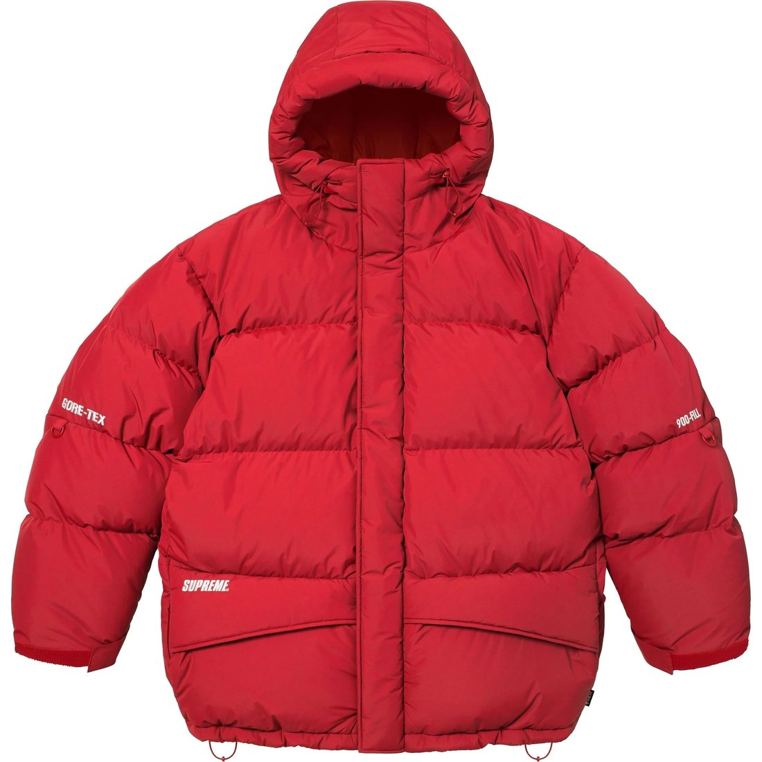 Details on GORE-TEX 900-Fill Down Parka Red from fall winter
                                                    2024 (Price is $698)