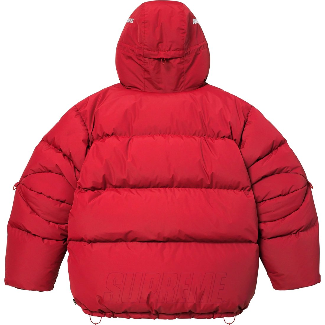 Details on GORE-TEX 900-Fill Down Parka Red from fall winter
                                                    2024 (Price is $698)