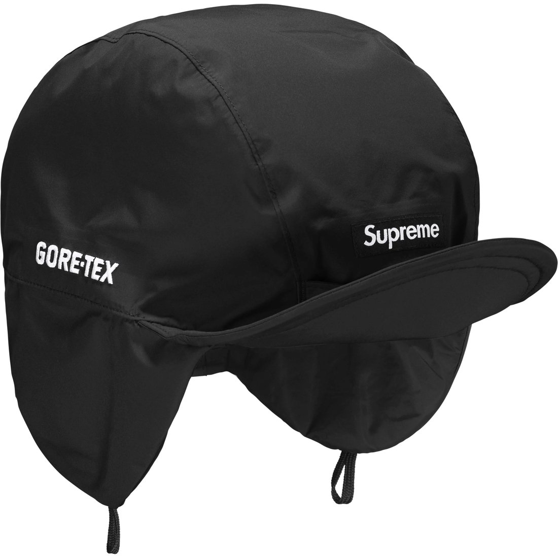 Details on GORE-TEX Earflap Cap Black from fall winter
                                                    2024 (Price is $60)